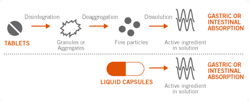 Sports & Nutrition Scheme