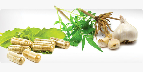 Taste & Odor Masking